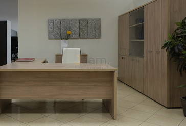 Кабинет руководителя Патриот