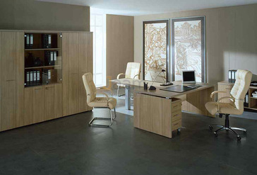 Кабинет руководителя Патриот