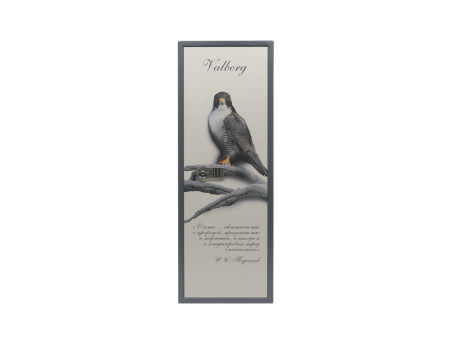 Оружейный сейф VALBERG САПСАН-4 EL Print (Графит)