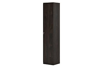 Гардероб узкий FRANKLIN DM (450х420х2200)